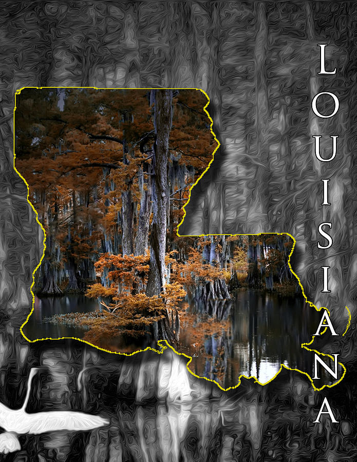 Louisiana Photograph by Cecil Fuselier