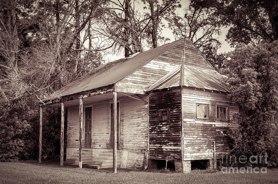 Louisiana House On River Road 2 Photograph