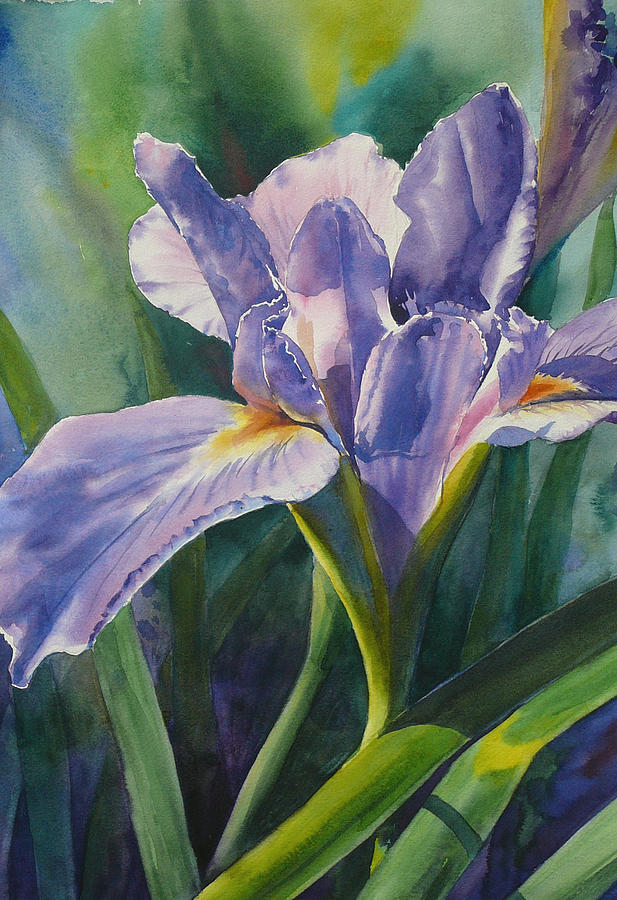 Louisiana Iris Painting by Sue Zimmermann