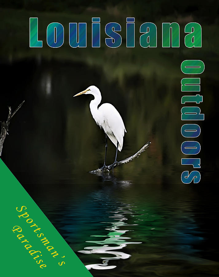 Louisiana Outdoors Photograph by Cecil Fuselier