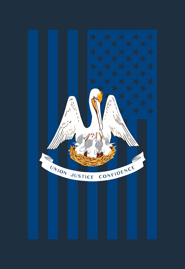 Louisiana State Flag Graphic USA Styling Digital Art by Garaga Designs