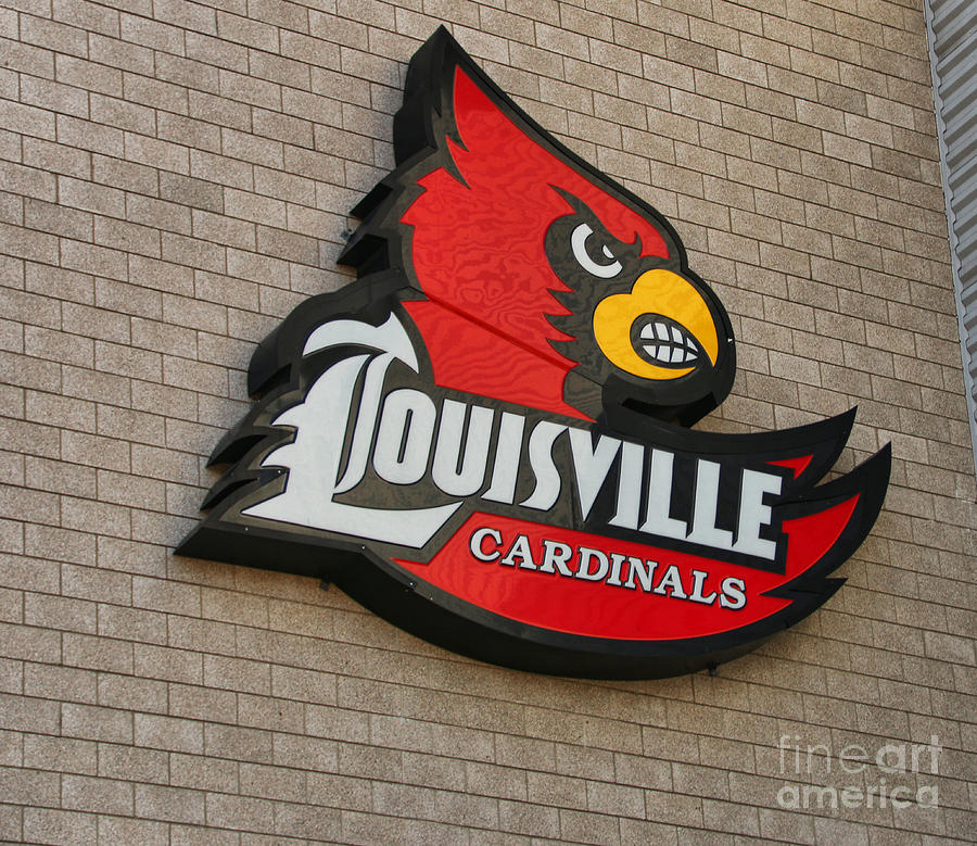 University Louisville Cardinal Logos Sticker | Zazzle