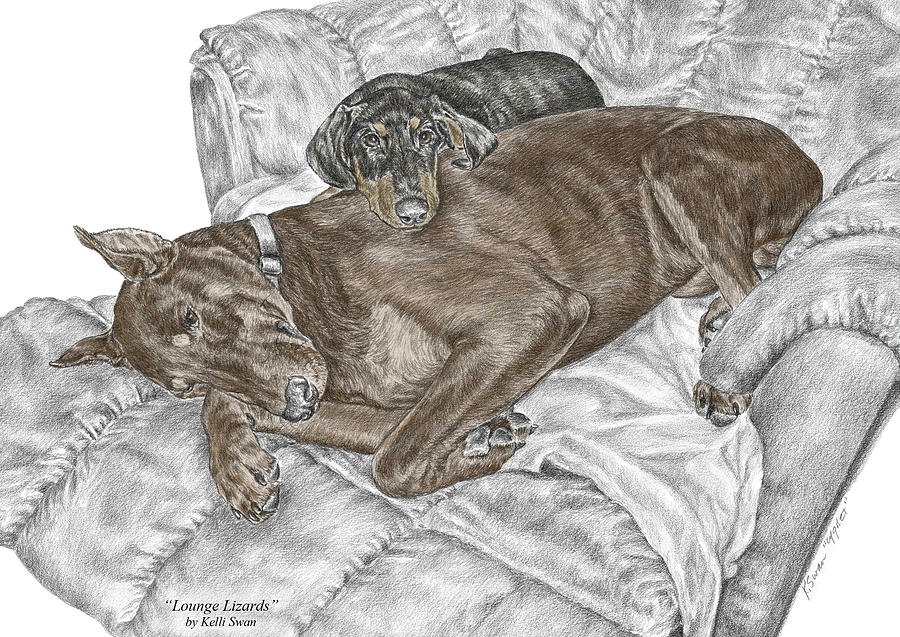 Lounge Lizards - Doberman Pinscher Puppy Print color tinted Drawing by Kelli Swan