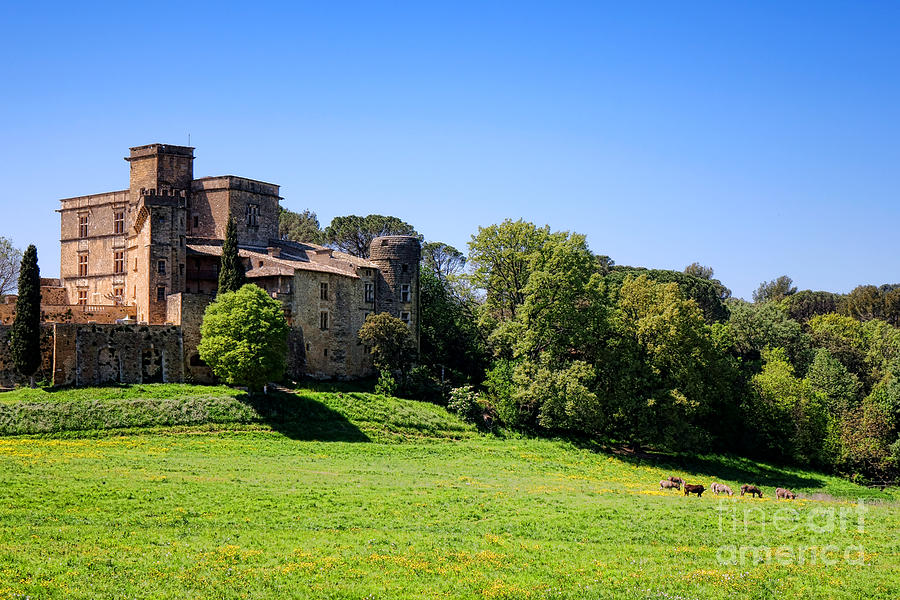 Lourmarin Castle Photograph by Olivier Le Queinec