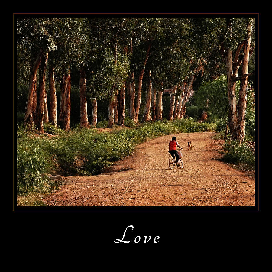 Love 3 Photograph