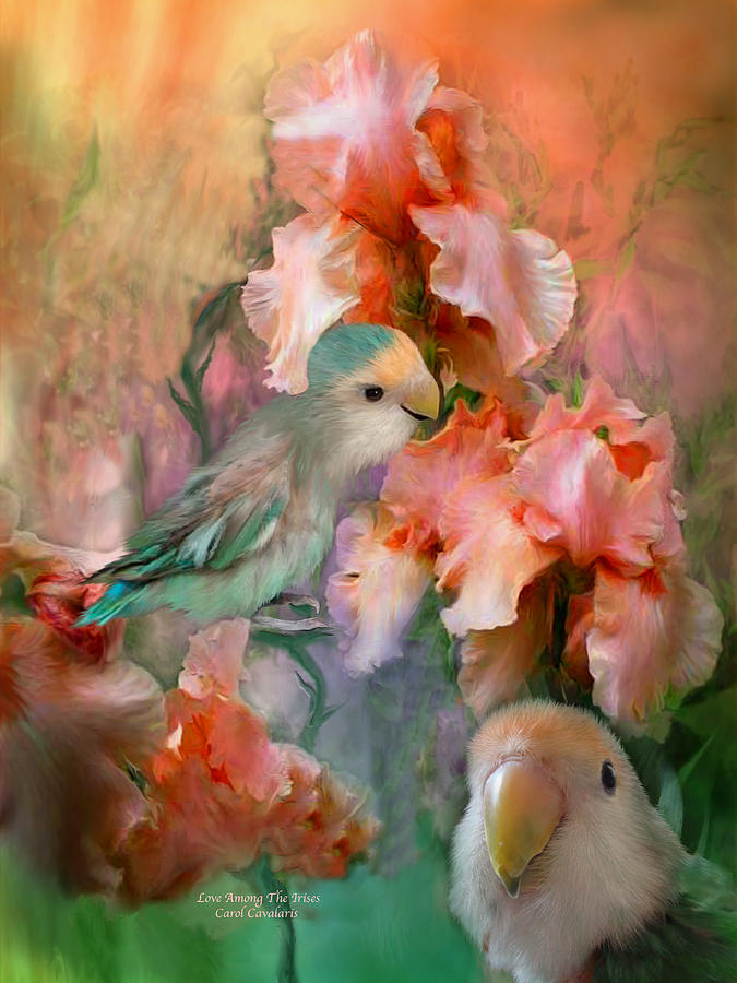 Lovebird Mixed Media - Love Among The Irises by Carol Cavalaris