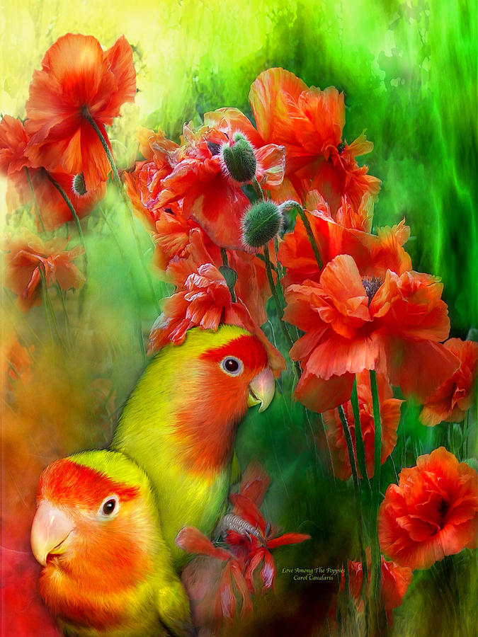 Love Among The Poppies Mixed Media by Carol Cavalaris