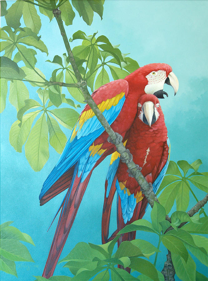 Parrot Painting - Love at First Bite by Fred Neveu
