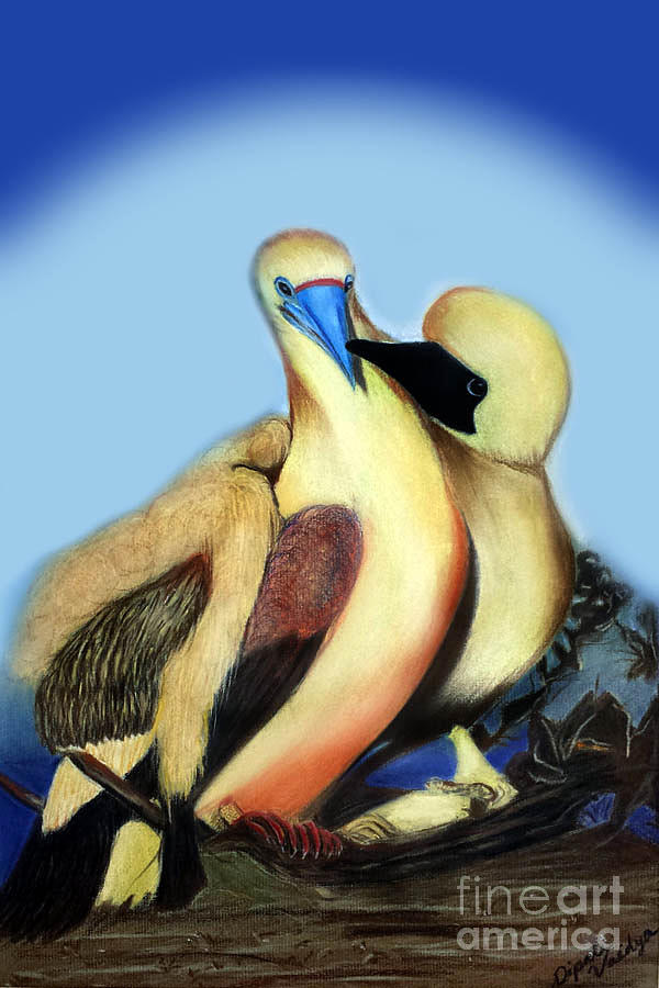 Love Birds Pastel by Dipali Shah
