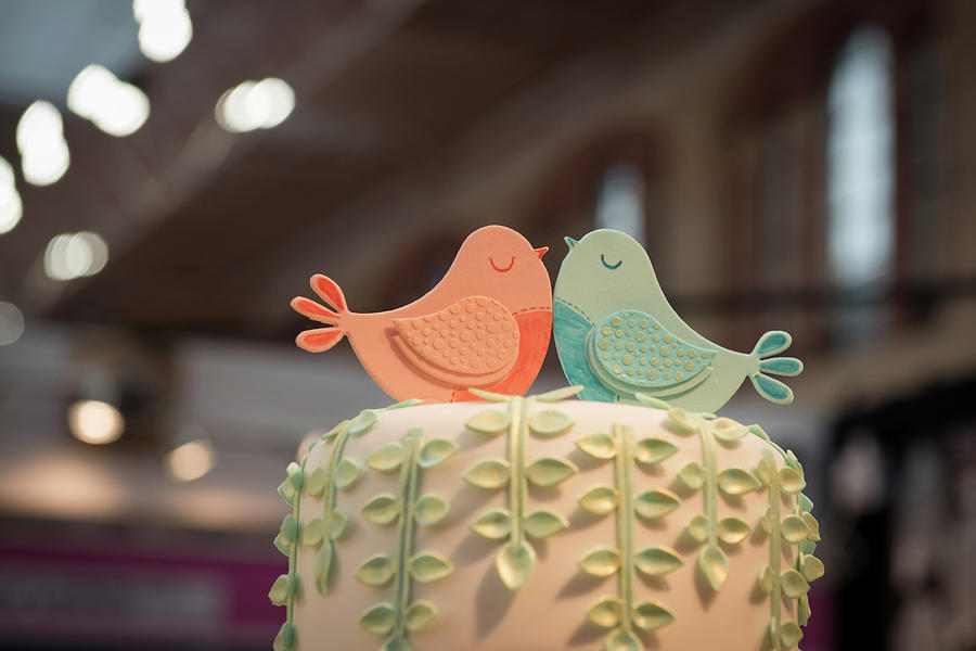 Personalized wedding cake Topper,Mr and Mrs, wedding decor,love birds, –  DokkiDesign
