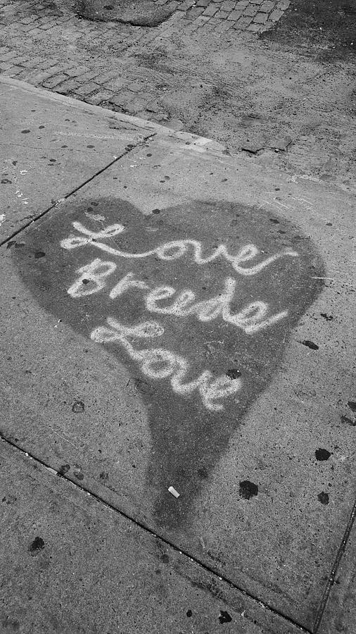 Love Breeds Love B W Photograph by Rob Hans