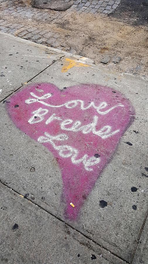 Love Breeds Love  Photograph by Rob Hans