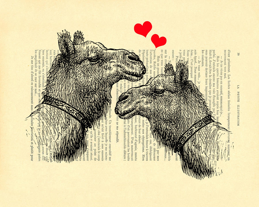Camel Digital Art - Love camels by Madame Memento
