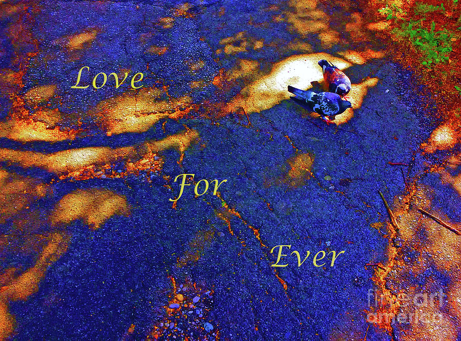 Love For Ever Photograph by Jasna Dragun