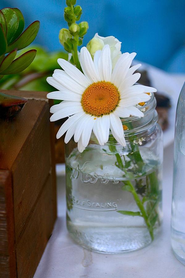 Love In A Jar by My Lens and Eye - Judy Mullan - Love In A Jar by My Lens and Eye - Judy Mullan -