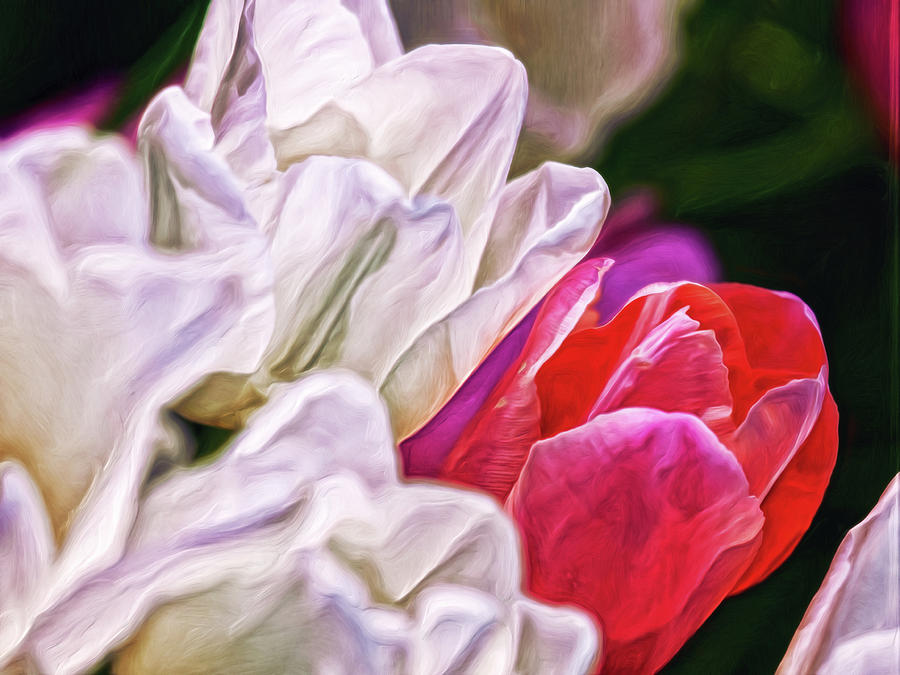Love In Itself Digital Art by Doctor MEHTA Love In Itself Digital Art by Doctor MEHTA