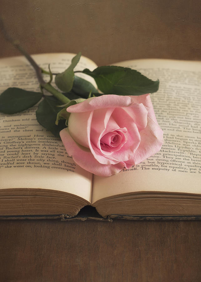 Spring Photograph - Love is an Open Book by Kim Hojnacki