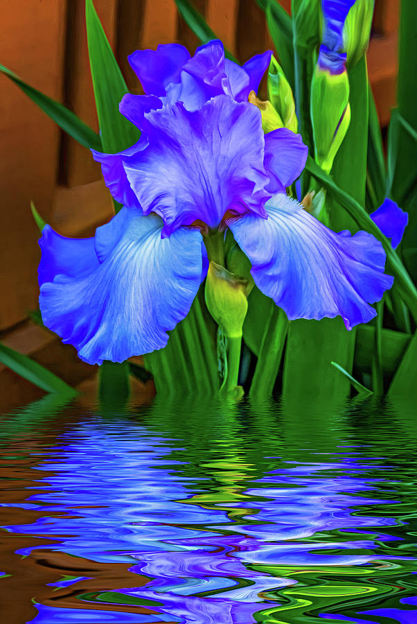 Flower Photograph - Love Is Blue 2 - Paint by Steve Harrington
