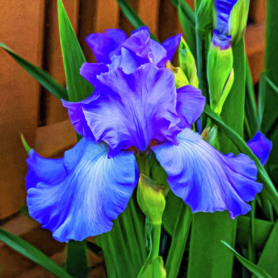 Flower Photograph - Love Is Blue - Paint by Steve Harrington