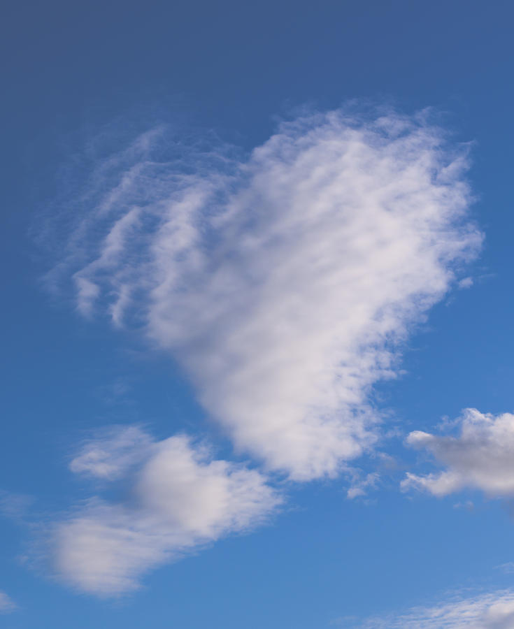 Love is in the air by David Isaacson Love is in the air by David Isaacson