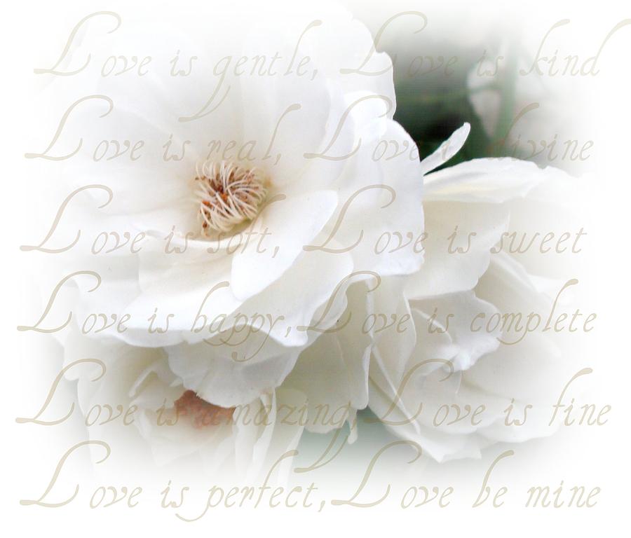 Flower Photograph - Love Is by Kathy Bucari