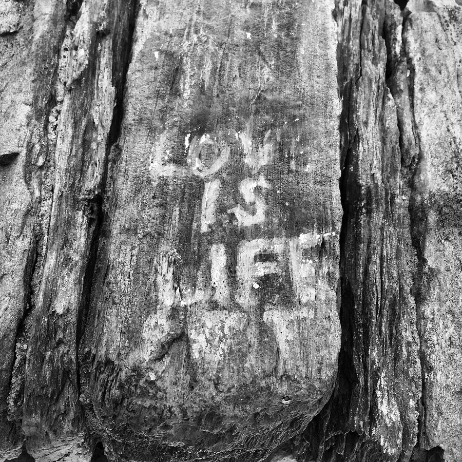 Love Is Life Photograph - Love Is Life by Joseph Mari Love Is Life Photograph - Love Is Life by Joseph Mari