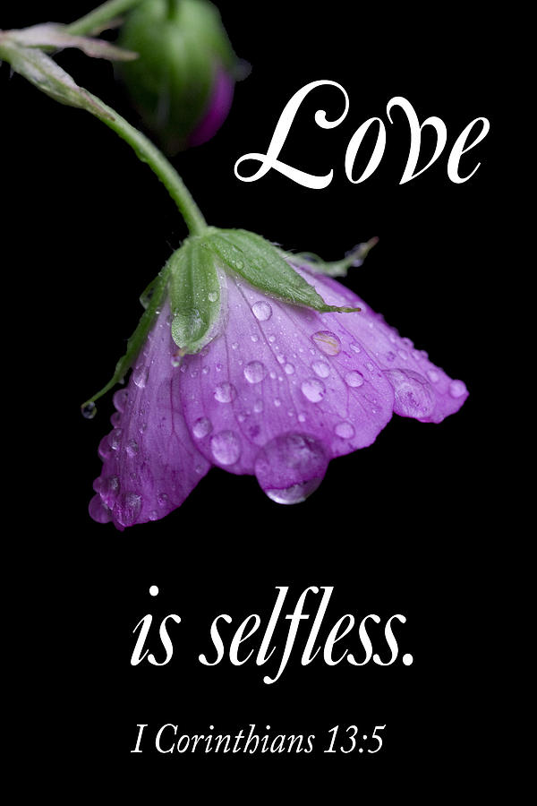 Love Photograph - Love Is Selfless by Steven Faucette