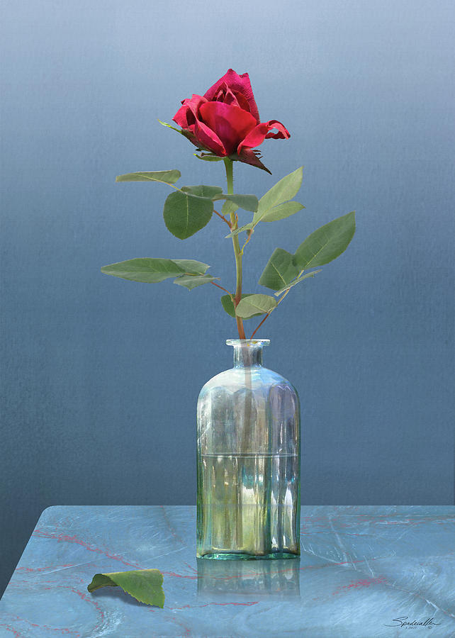 Still Life Digital Art - Love It Is A Flower by M Spadecaller