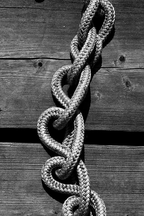 Love Knots Photograph by David Patterson