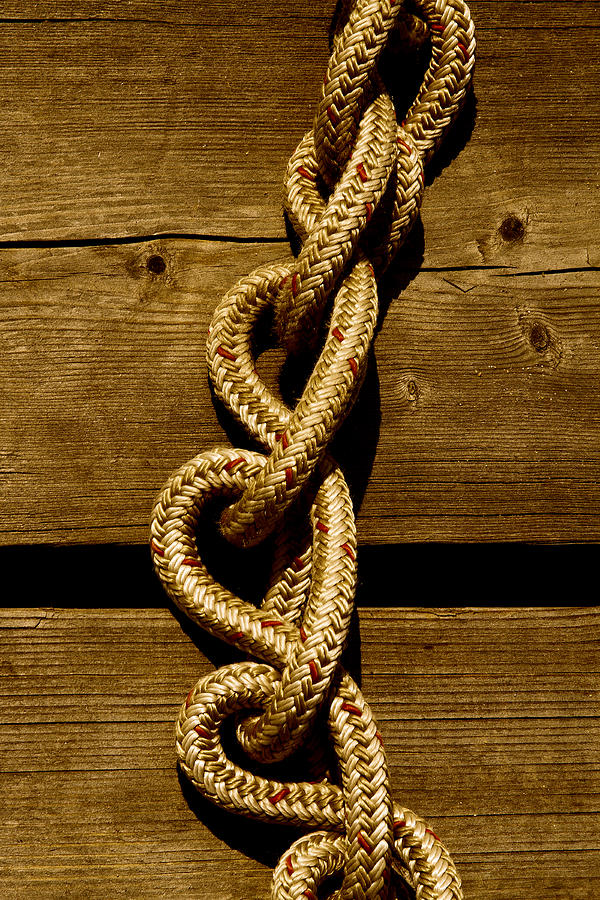 Love Knots on the Dock Photograph by David Patterson