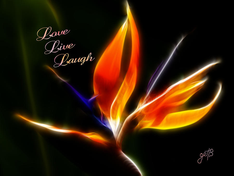 LOVE LAUGH LIVE Strelitzia reginae digital artwork Painting by Georgeta Blanaru