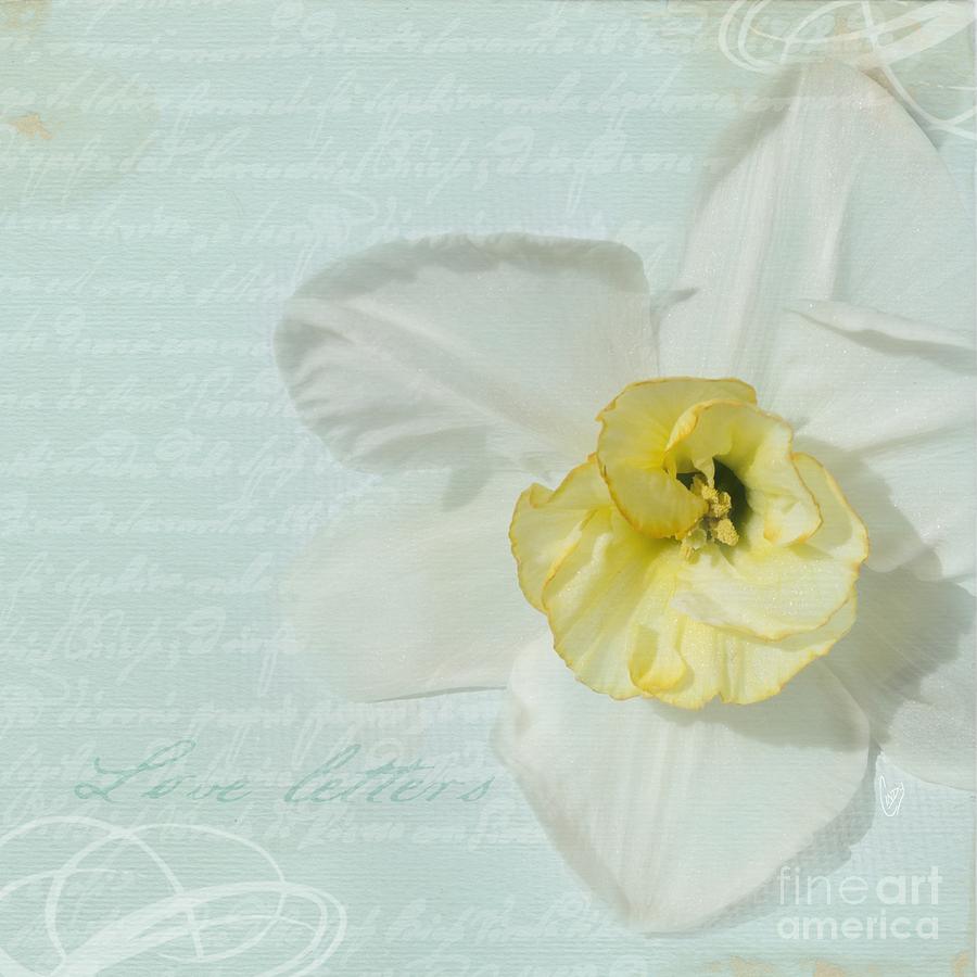 Love letters from a Spring romance Photograph by Cindy Garber Iverson