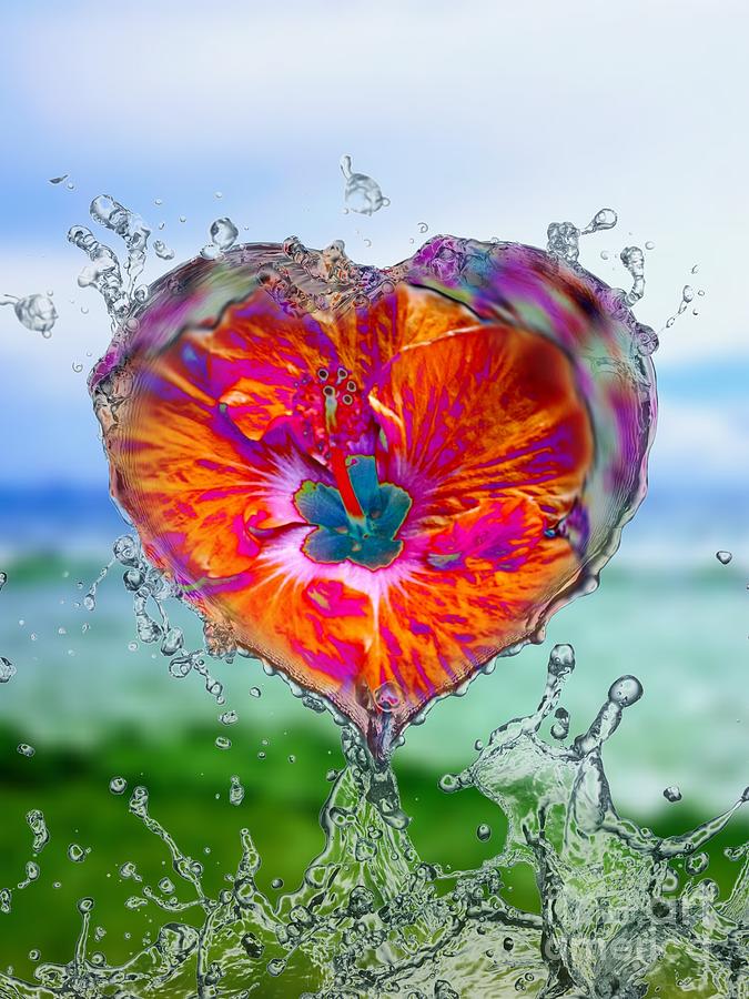 Love Makes A Splash Digital Art by Rachel Hannah