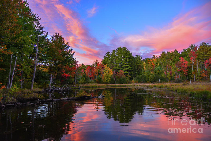 Love New Hampshire Photograph by Mim White