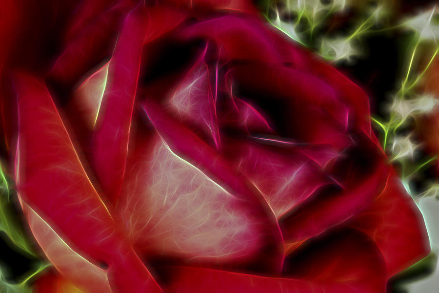 Flower Digital Art - Love of Mine II by Jon Glaser
