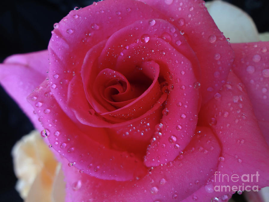 Lush Splash by Gem S Visionary Lush Splash by Gem S Visionary