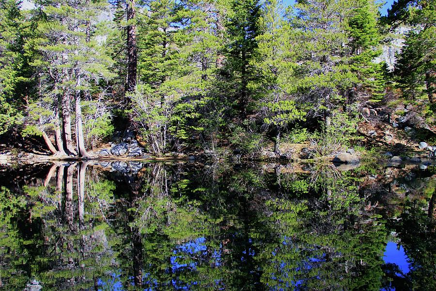 Eagle Lake Reflections Photograph by Sean Sarsfield