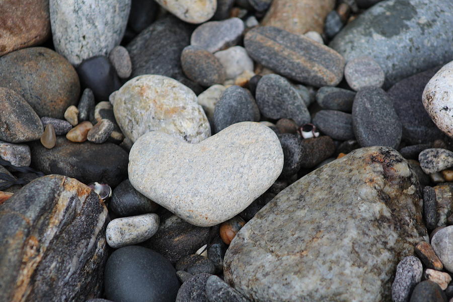 Love on the Rocks Photograph by Modern Art - Fine Art America