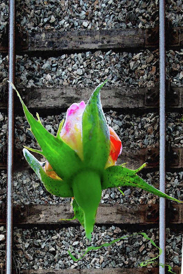 Love On The Tracks - Derailed - Rose Digital Art by Marie Jamieson