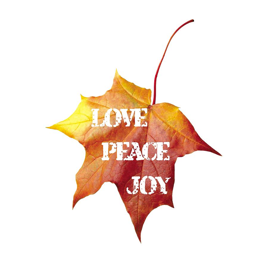 LOVE PEACE JOY carved on fall leaf Painting by Georgeta Blanaru