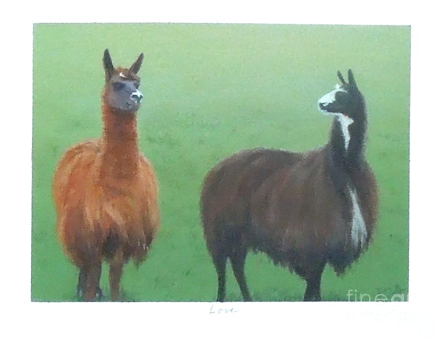 Llama Painting - Love by Phyllis Andrews