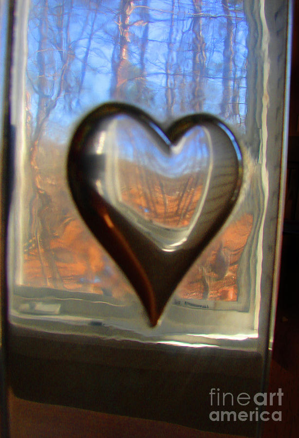 Love Reflected Photograph by Laura Brightwood