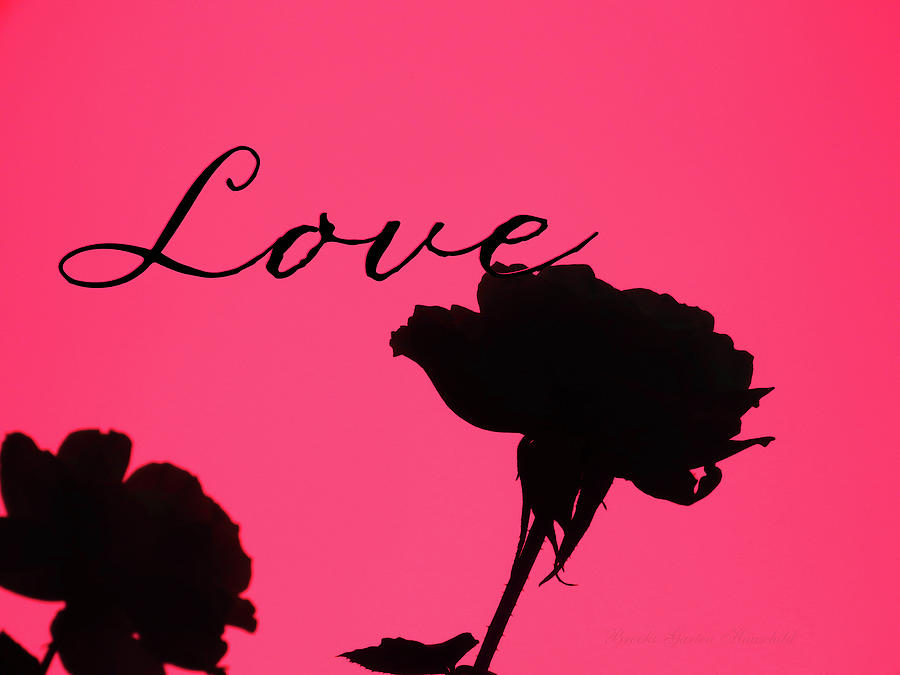 Love Rose Silhouette - Original Floral Photographic Art and Design - Love Photograph by Brooks Garten Hauschild