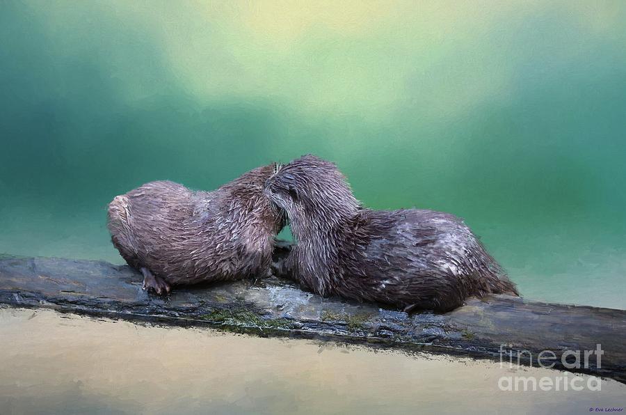 Oriental Small-clawed Otter Photograph - Love Story by Eva Lechner