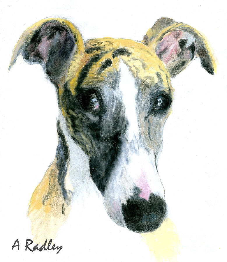 Love That Whippet Painting by Ann Radley