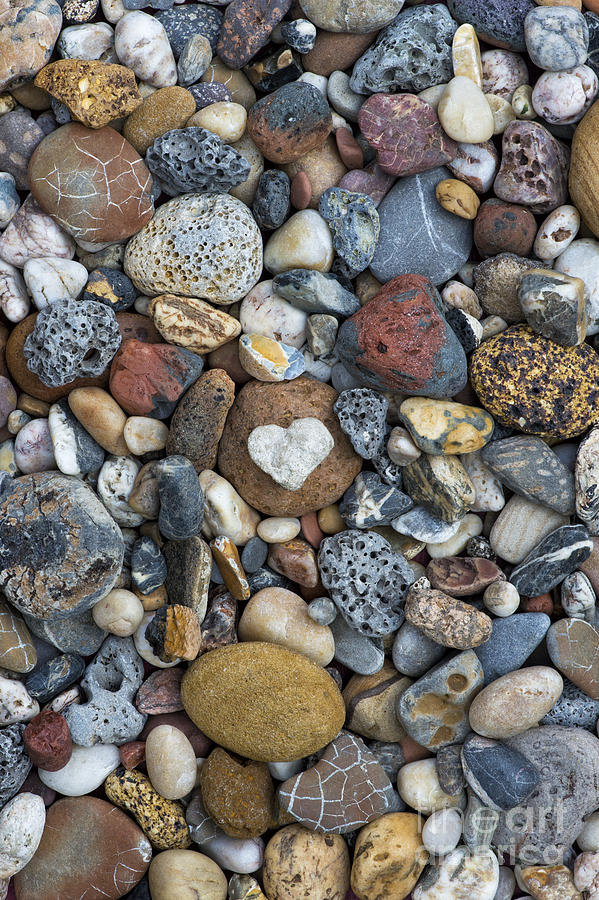 Pebbles Photograph - Love the Beach by Tim Gainey