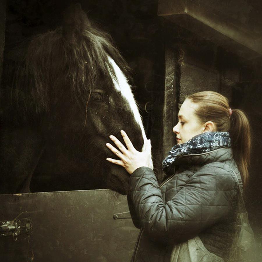 Horse Photograph - Love This Big Girl ♥ Sapphire #horses by Zielona Kropka