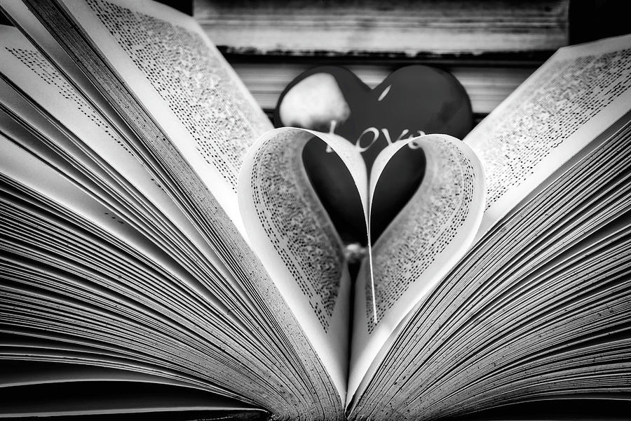 Love To Read Books In Black And White Photograph by Garry Gay