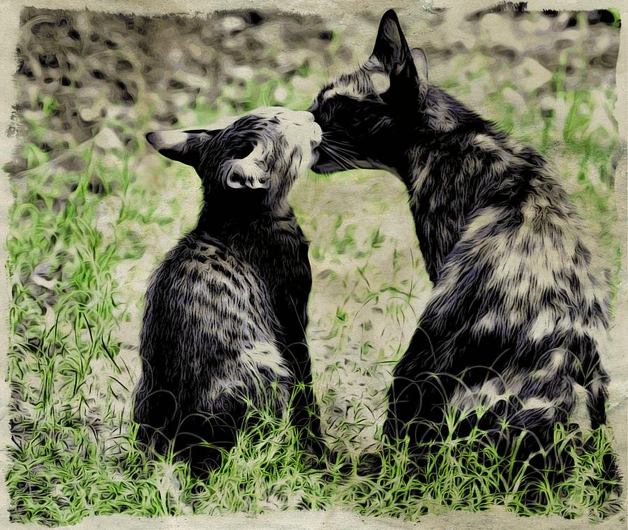Cat Digital Art - Love whispers by Bliss Of Art