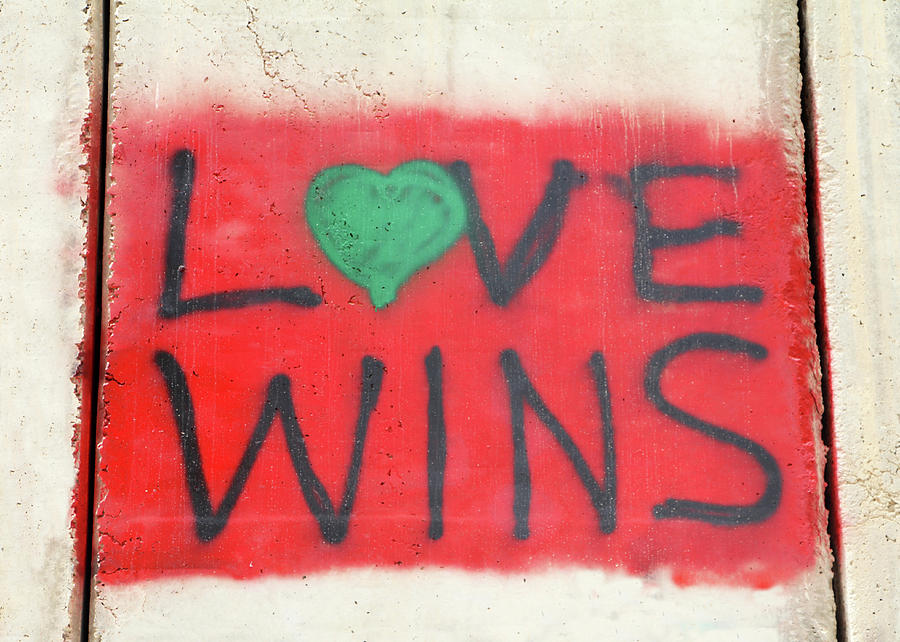 Love Wins Photograph by Munir Alawi